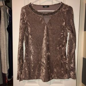 Silver Fox beige velvet top